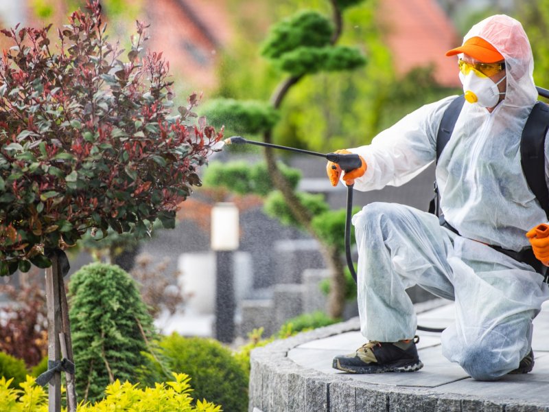 Fındıklı Haşere İlaçlama