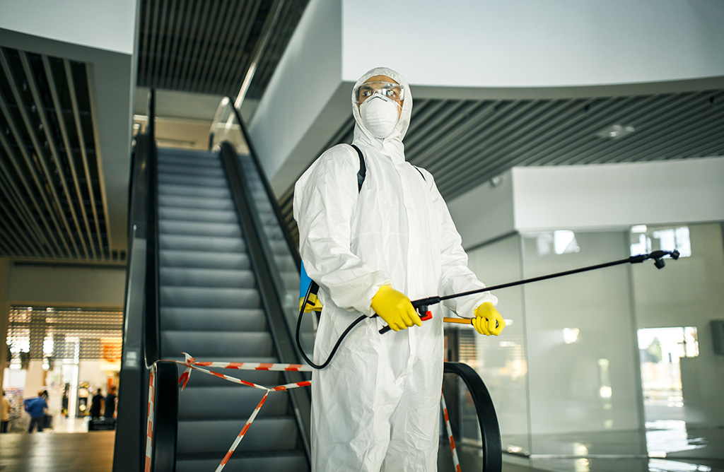 Fındıklı Haşere İlaçlama